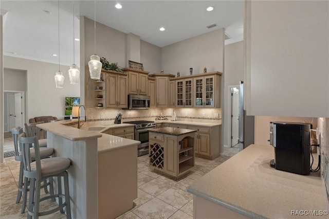 4198 N Longvalley Rd, Hernando, FL 34442 - kitchen featuring open shelves, a peninsula, appliances with stainless steel finishes, and a sink