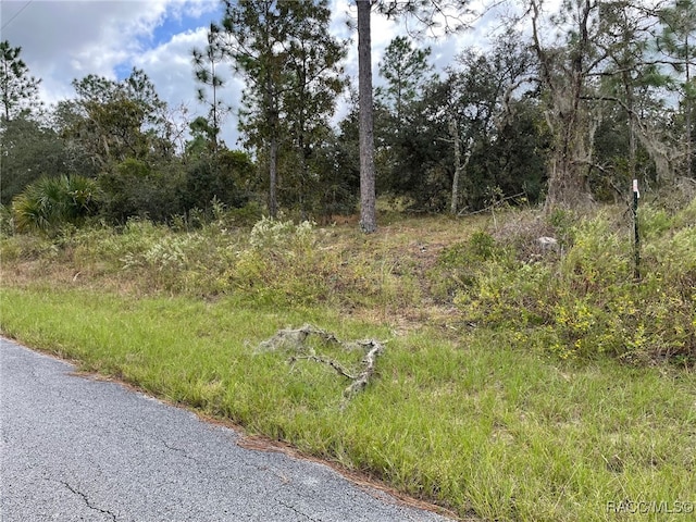 Listing photo 3 for LOT10 SW Anchor Blvd, Dunnellon FL 34431