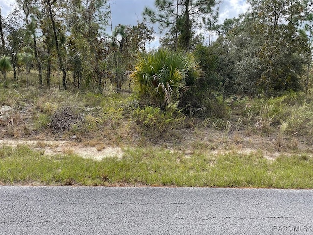 LOT10 SW Anchor Blvd, Dunnellon FL, 34431 land for sale