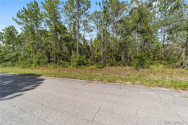 7515 N Windbrook Dr, Citrus Springs FL, 34433 land for sale