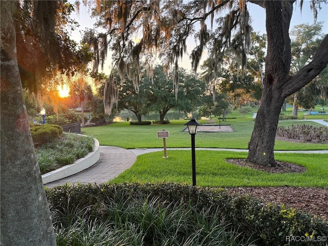 surrounding community featuring a yard