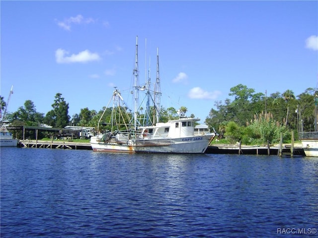 property view of water featuring a dock