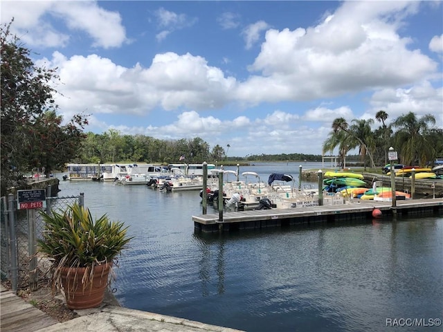 view of dock with a water view