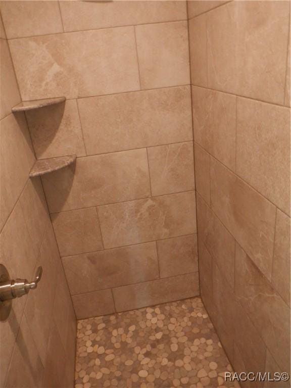 interior details featuring a tile shower