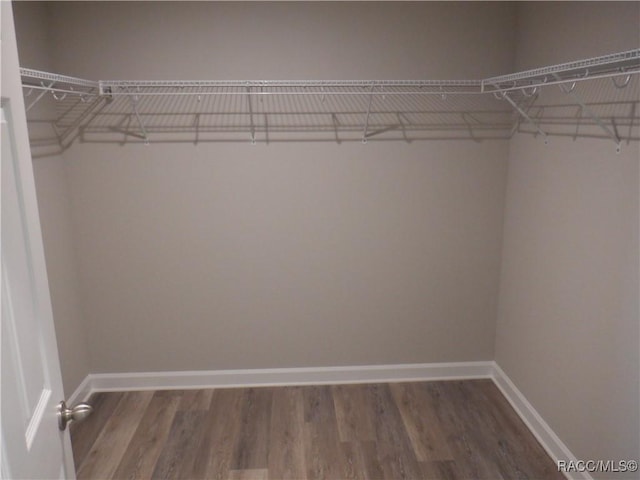 walk in closet featuring hardwood / wood-style flooring