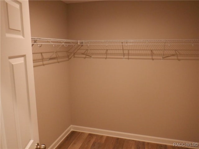 spacious closet with wood-type flooring