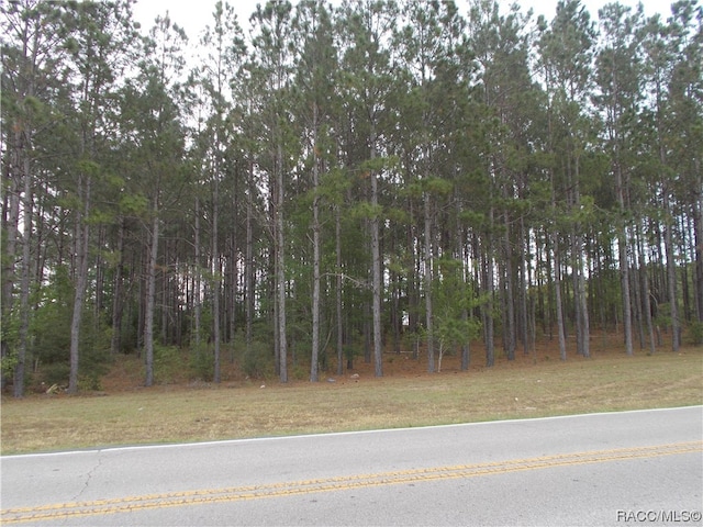 199 S Kensington Ave, Lecanto FL, 34461 land for sale