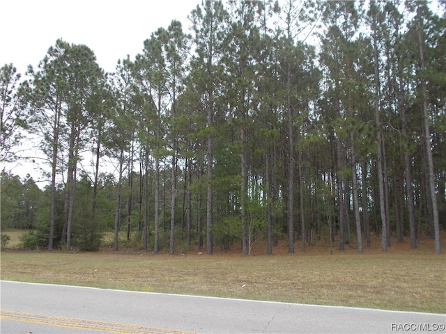 Listing photo 2 for 199 S Kensington Ave, Lecanto FL 34461