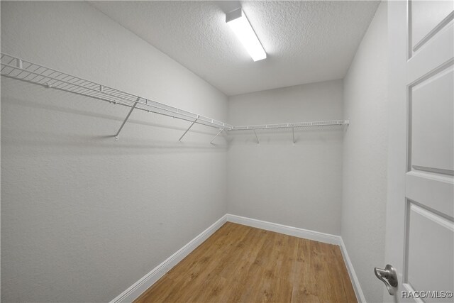 walk in closet with hardwood / wood-style flooring