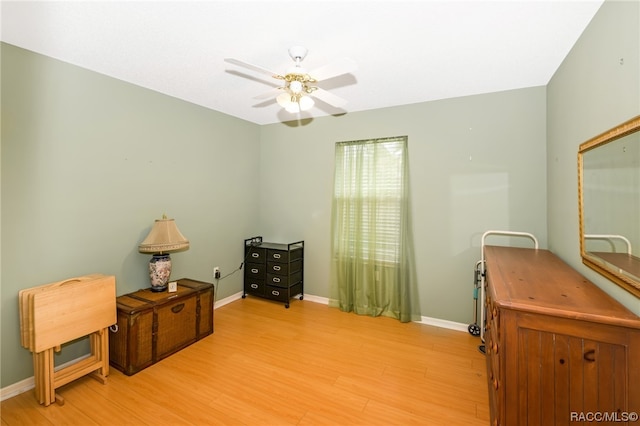 office with ceiling fan and light hardwood / wood-style flooring