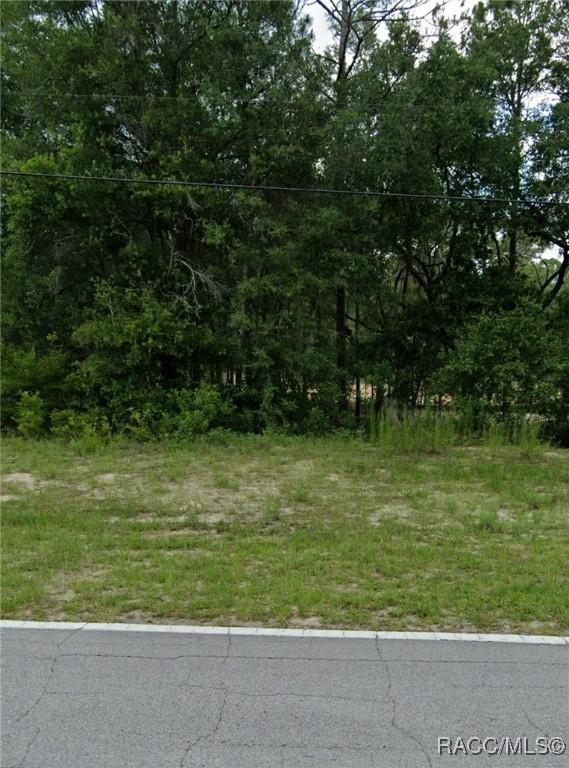 10076 N Country Club Way, Citrus Springs, FL 34434