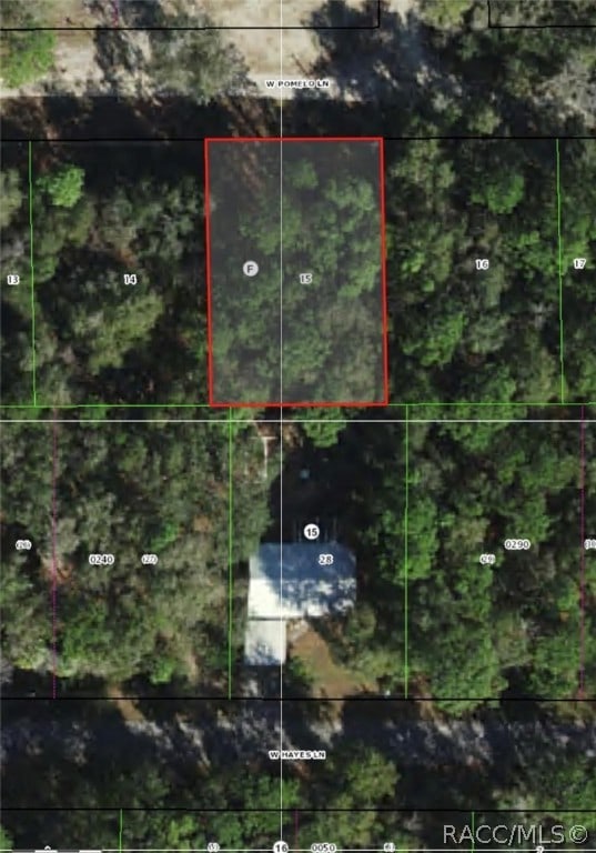 9592 W Pomelo Ln, Crystal River FL, 34428 land for sale