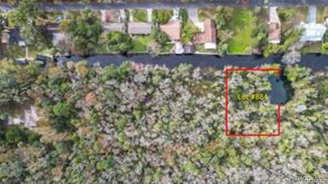 906AND884 N Michael Brunn Pt, Crystal River FL, 34429 land for sale