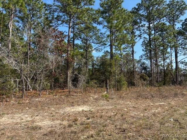 8849 N Vienna Dr, Dunnellon FL, 34433 land for sale