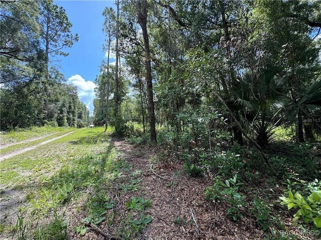 0 58th Pl Fl, Chiefland, FL 32626 - photo 5