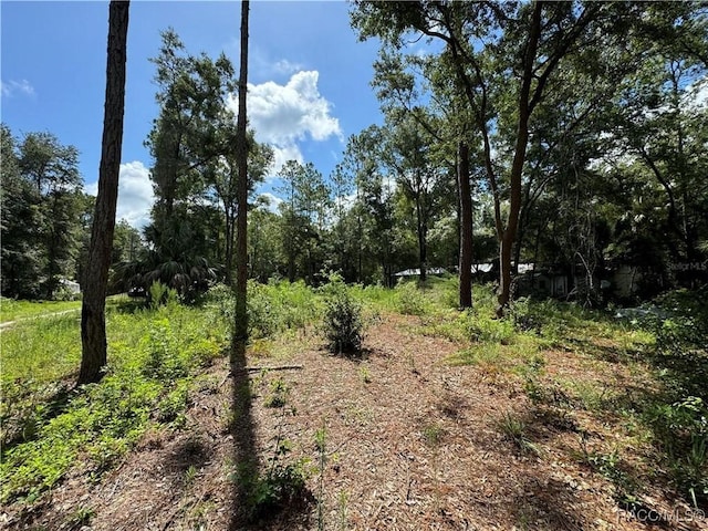 0 58th Pl Fl, Chiefland, FL 32626 - photo 4