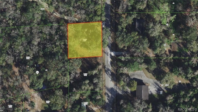 6518 S Withlapopka Dr, Floral City, FL 34436 - photo 4