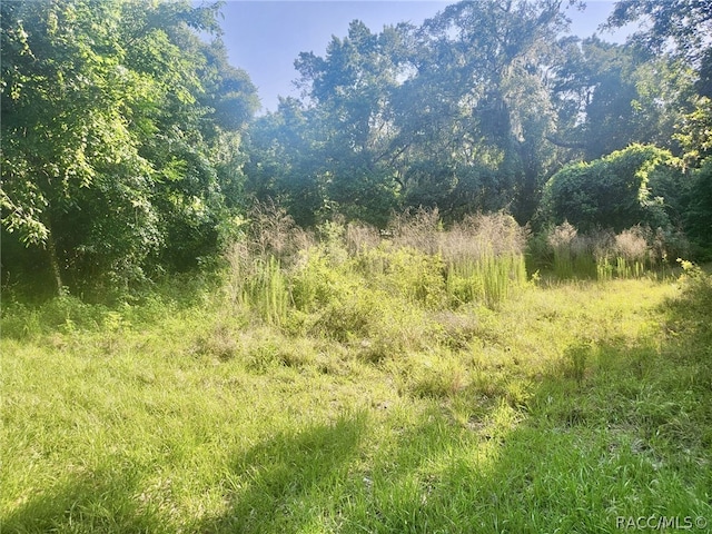 6518 S Withlapopka Dr, Floral City, FL 34436 - photo 18
