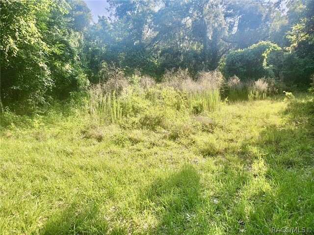 6518 S Withlapopka Dr, Floral City, FL 34436 - photo 3