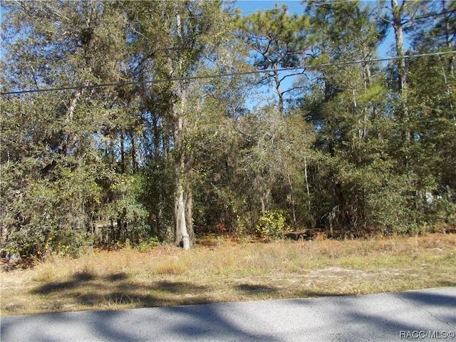 Listing photo 2 for 1401 E Bismark St, Hernando FL 34442