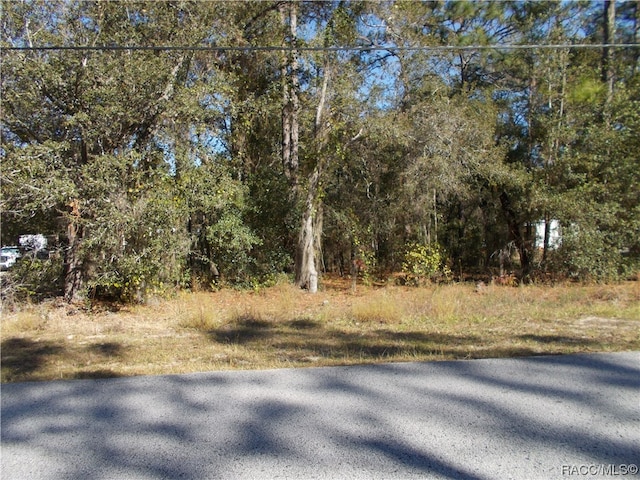 1401 E Bismark St, Hernando FL, 34442 land for sale