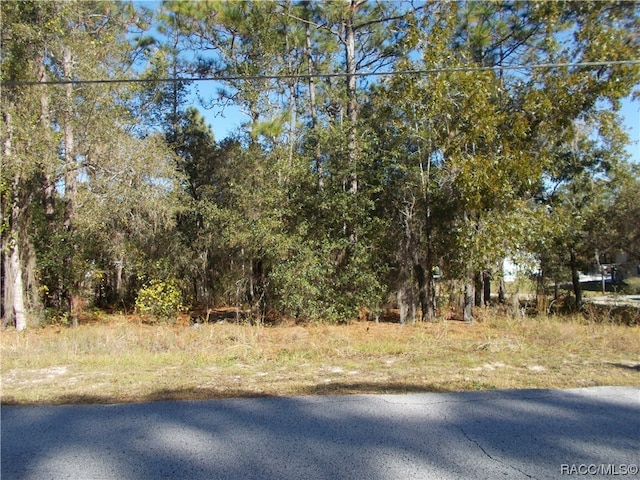 Listing photo 3 for 1401 E Bismark St, Hernando FL 34442