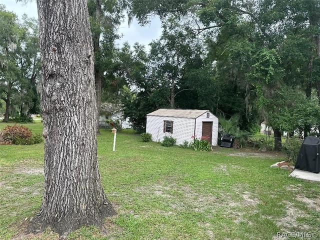 view of yard featuring a storage unit