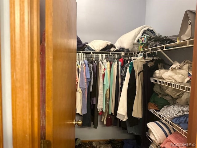 view of spacious closet