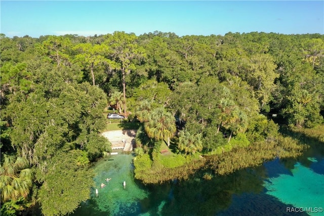 9989 SW 188th Cir, Dunnellon, FL 34432 - photo 88