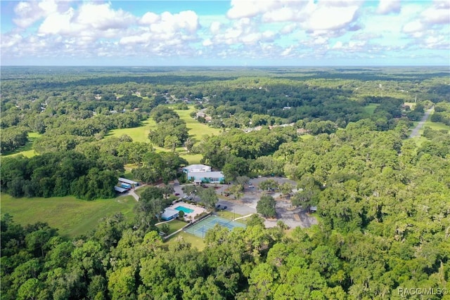 9989 SW 188th Cir, Dunnellon, FL 34432 - photo 98