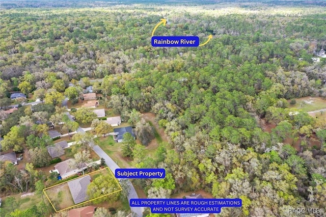 9989 SW 188th Cir, Dunnellon, FL 34432 - photo 80