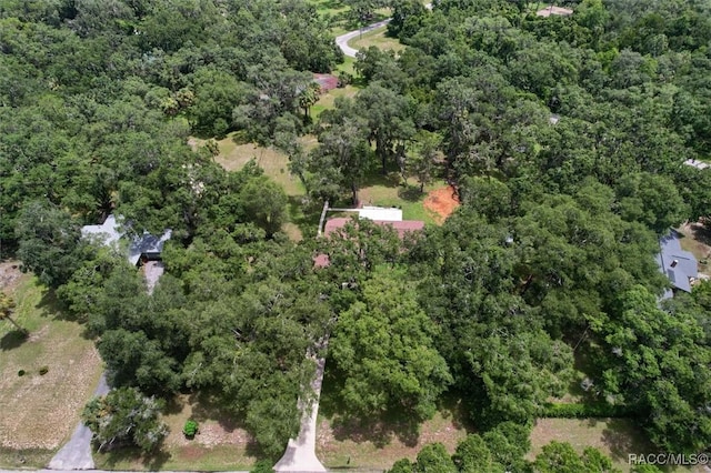 12165 W Checkerberry Dr, Crystal River, FL 34428 - photo 39