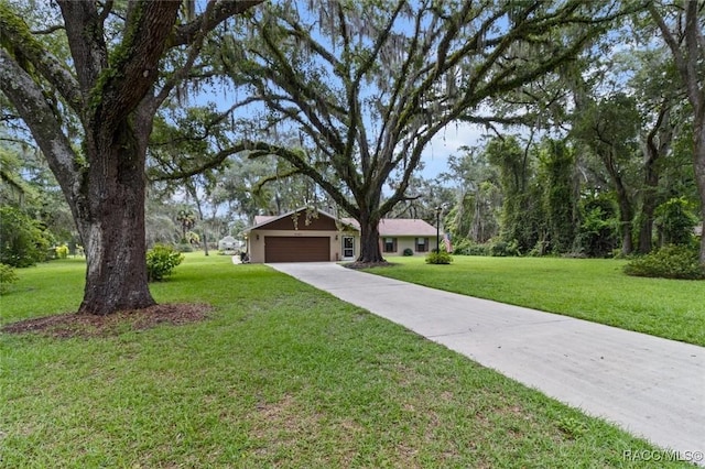 12165 W Checkerberry Dr, Crystal River, FL 34428 - photo 43