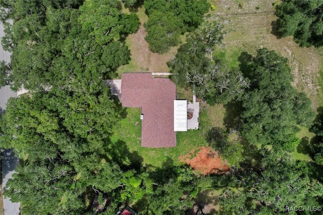 12165 W Checkerberry Dr, Crystal River, FL 34428 - photo 38