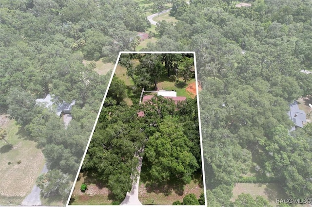 12165 W Checkerberry Dr, Crystal River, FL 34428 - photo 42