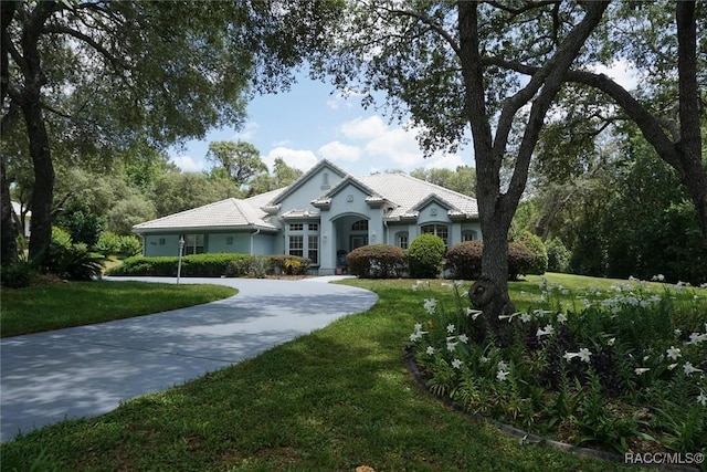 view of front facade featuring curved driveway, stucco siding, and a front lawn