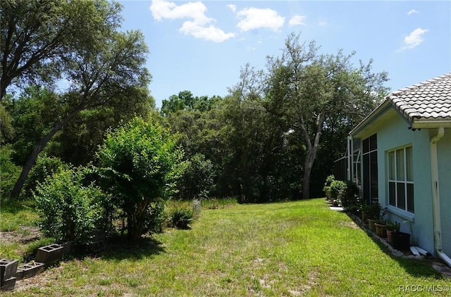 view of yard
