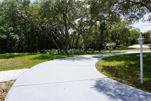 view of community with a lawn