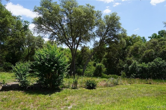 view of local wilderness with a view of trees