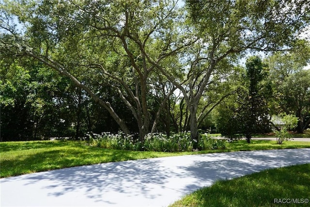 view of home's community with a yard