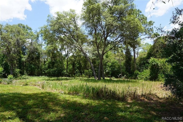 view of nature