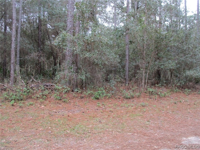 Listing photo 2 for 8367 N Pine Needle Ter, Crystal River FL 34428