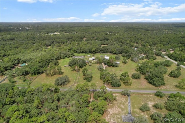 5520 S Pine Tree Pt, Lecanto, FL 34461 - photo 44