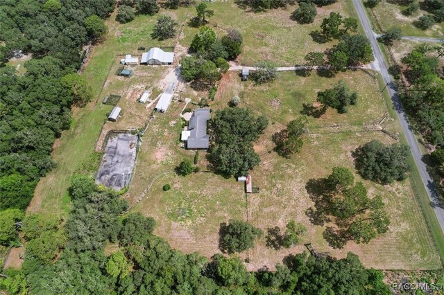 5520 S Pine Tree Pt, Lecanto, FL 34461 - photo 42