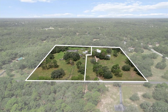 5520 S Pine Tree Pt, Lecanto, FL 34461 - photo 2