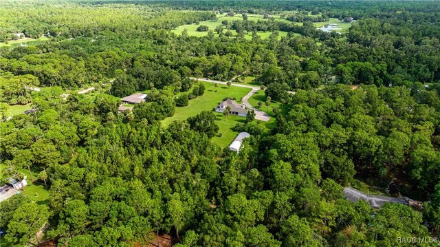 10264 W Springtree Ln, Crystal River, FL 34428 - photo 71