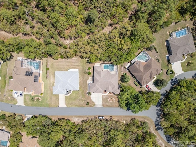 bird's eye view