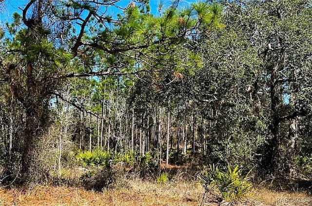 11 Paw Paw Ct S, Homosassa, FL 34446