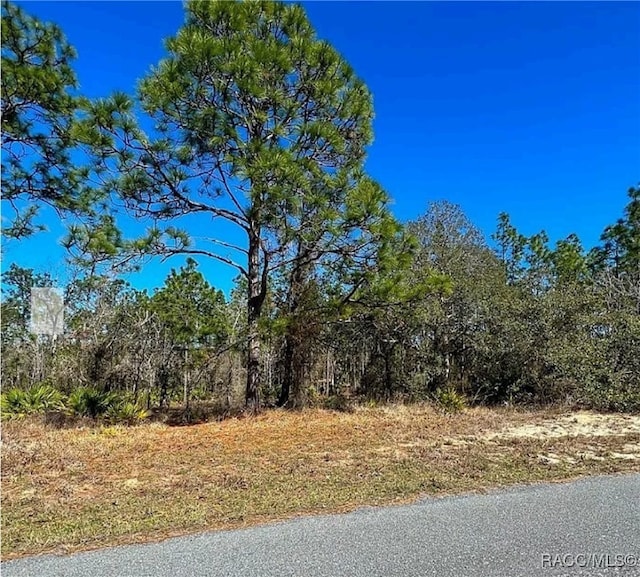 11 Paw Paw Ct S, Homosassa, FL 34446