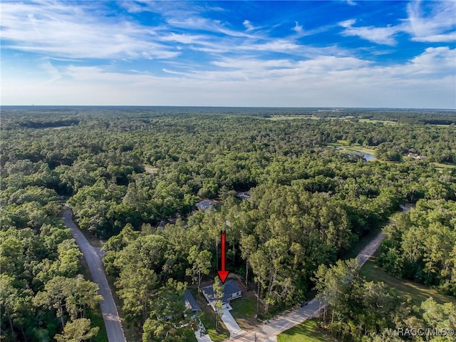 9980 N Bamboo Way, Dunnellon, FL 34434 - photo 57